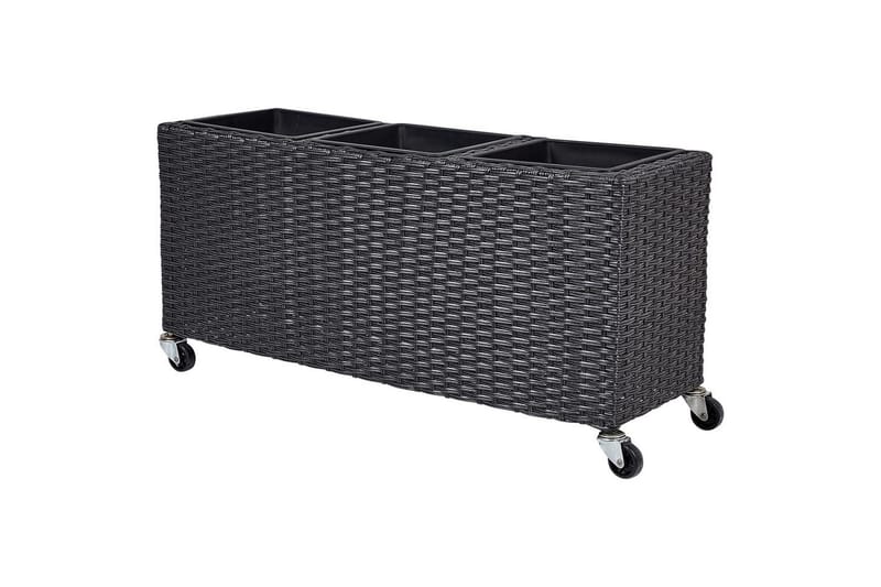 Inomhuskruka Bellis Svart - Svart - Inredning & dekor - Dekor & inredningsdetaljer - Kruka & ytterkruka