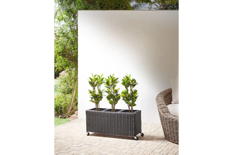 Inomhuskruka Bellis Svart - Svart - Inredning & dekor - Dekor & inredningsdetaljer - Kruka & ytterkruka