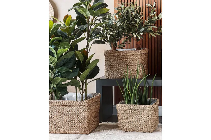 Inomhuskruka Rivuline set om 3 - Inredning & dekor - Dekor & inredningsdetaljer - Kruka & ytterkruka