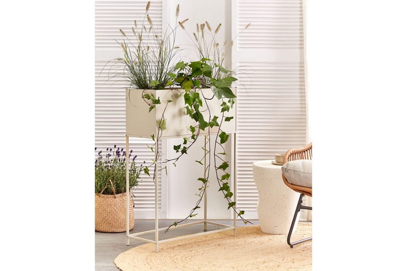 Inomhuskruka Tapien Beige - Beige - Inredning & dekor - Dekor & inredningsdetaljer - Kruka & ytterkruka