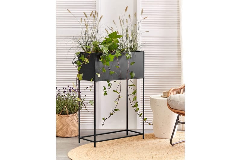 Inomhuskruka Tapien Svart - Svart - Inredning & dekor - Dekor & inredningsdetaljer - Kruka & ytterkruka