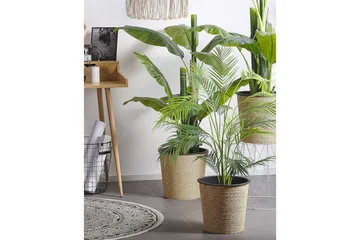 Konstgjord växt Areca Palm 12x12x124 cm - 12x12x124 cm - Inredning & dekor - Dekor & inredningsdetaljer - Konstgjorda växter