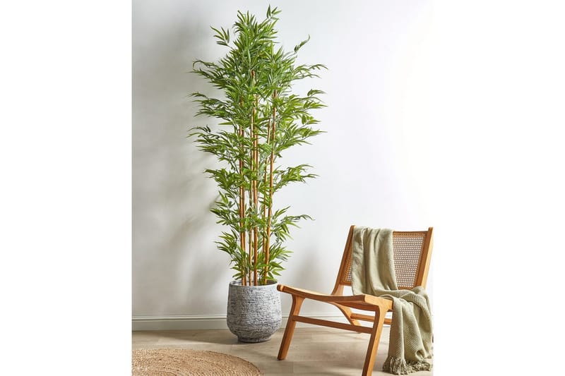 Konstgjord växt Bamboo - Inredning & dekor - Dekor & inredningsdetaljer - Konstgjorda växter