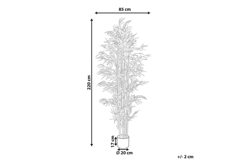 Konstgjord växt Bamboo - Inredning & dekor - Dekor & inredningsdetaljer - Konstgjorda växter