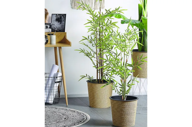 Konstgjord växt Bambusa Vulgaris 9x9x100 cm - 9x9x100 cm - Inredning & dekor - Dekor & inredningsdetaljer - Konstgjorda växter