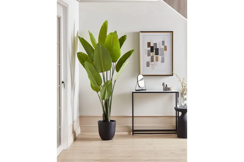 Konstgjord växt Banana Tree Grön/Svart, 115x115x187 cm - Grön/Svart, 115x115x187 cm - Inredning & dekor - Dekor & inredningsdetaljer - Konstgjorda växter