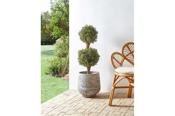 Konstgjord växt Buxus Ball Tree 38x38x92 cm - 38x38x92 cm - Inredning & dekor - Dekor & inredningsdetaljer - Konstgjorda växter