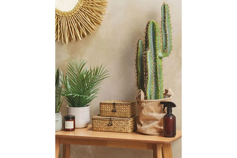 Konstgjord växt Cactus - Inredning & dekor - Dekor & inredningsdetaljer - Konstgjorda växter
