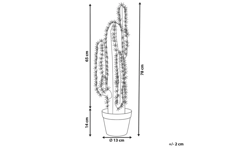 Konstgjord växt Cactus - Inredning & dekor - Dekor & inredningsdetaljer - Konstgjorda växter