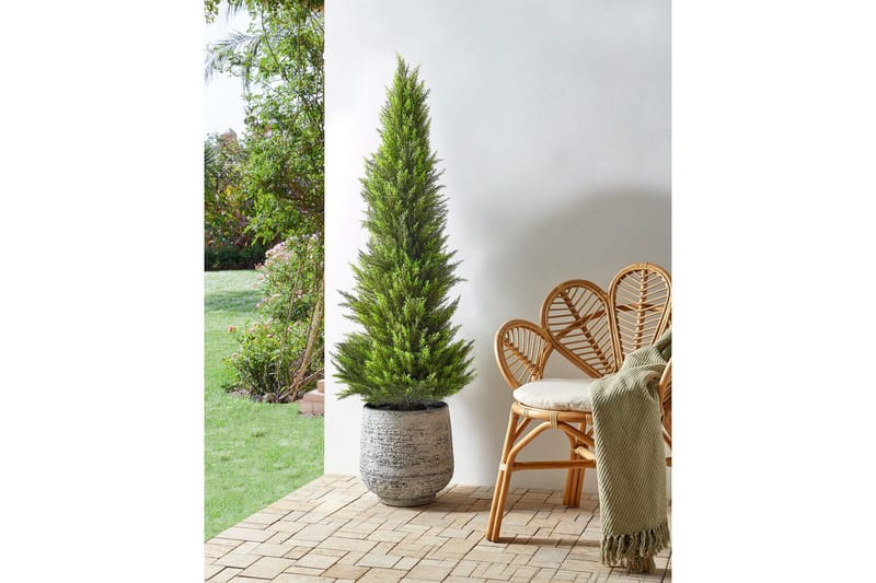 Konstgjord växt Cedar Tree 50x50x153 cm - 50x50x153 cm - Inredning & dekor - Dekor & inredningsdetaljer - Konstgjorda växter