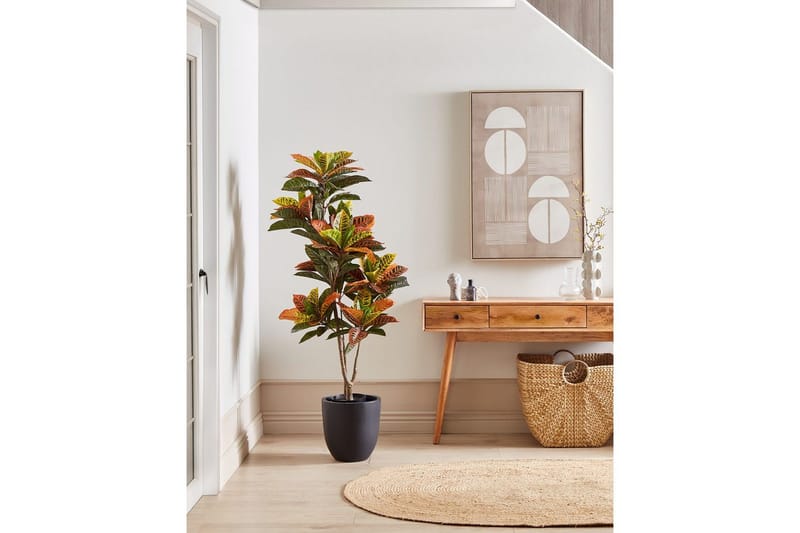 Konstgjord växt Codiaeum - Inredning & dekor - Dekor & inredningsdetaljer - Konstgjorda växter