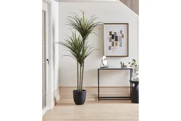 Konstgjord växt Dracaena Anita - Inredning & dekor - Dekor & inredningsdetaljer - Konstgjorda växter