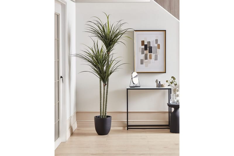 Konstgjord växt Dracaena Anita - Inredning & dekor - Dekor & inredningsdetaljer - Konstgjorda växter