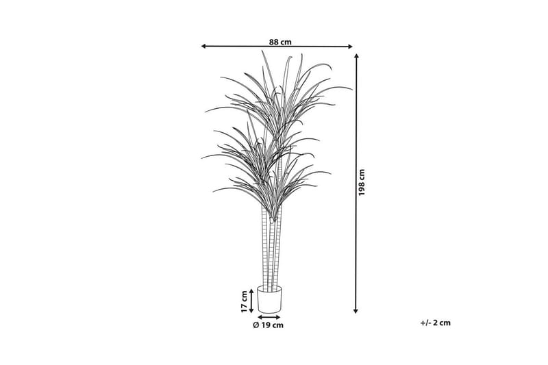 Konstgjord växt Dracaena Anita - Inredning & dekor - Dekor & inredningsdetaljer - Konstgjorda växter