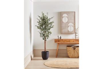 Konstgjord växt Ficus - Inredning & dekor - Dekor & inredningsdetaljer - Konstgjorda växter