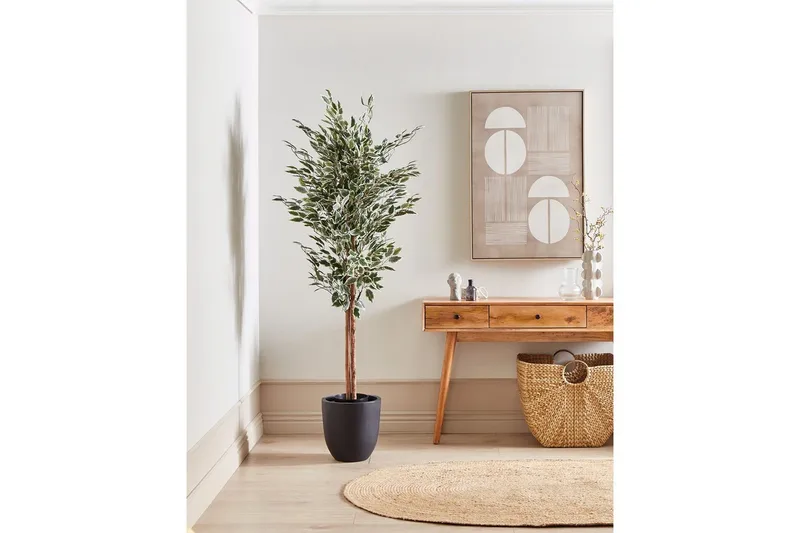 Konstgjord växt Ficus - Inredning & dekor - Dekor & inredningsdetaljer - Konstgjorda växter
