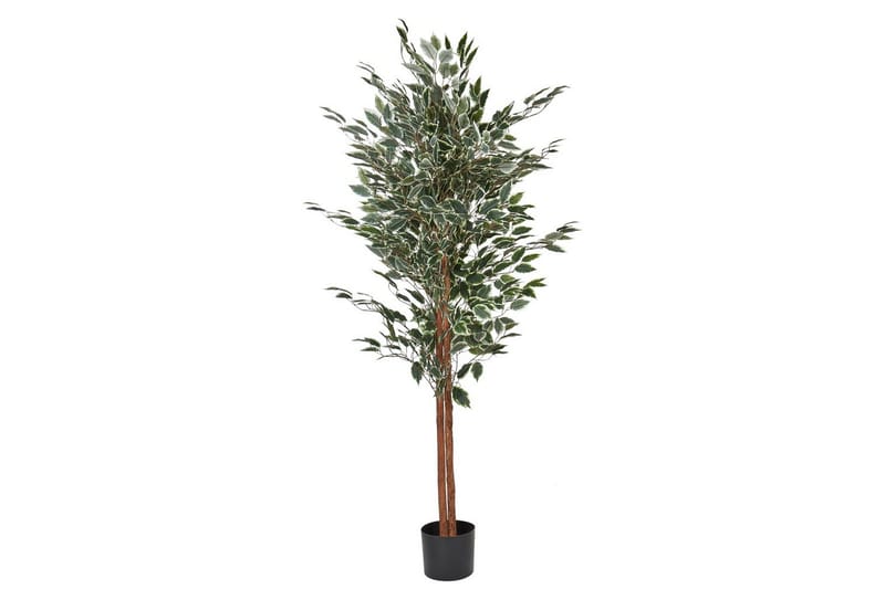 Konstgjord växt Ficus