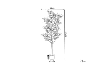 Konstgjord växt Ficus - Inredning & dekor - Dekor & inredningsdetaljer - Konstgjorda växter