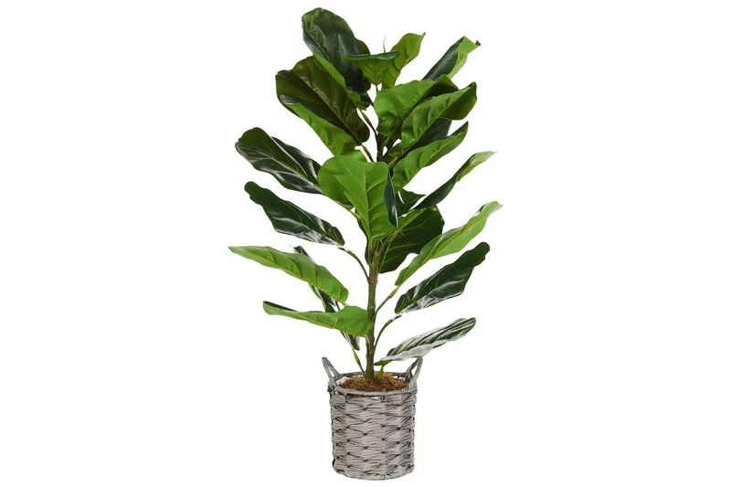 Konstgjord växt Fiddle Leaf Tree