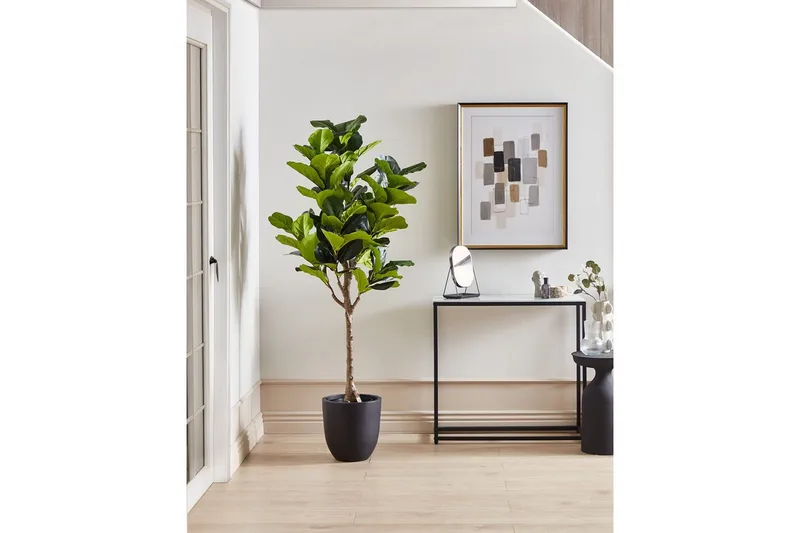 Konstgjord växt Fig Tree - Inredning & dekor - Dekor & inredningsdetaljer - Konstgjorda växter