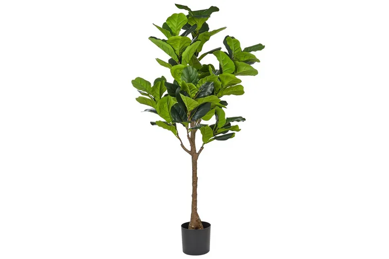 Konstgjord växt Fig Tree