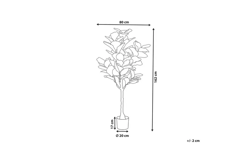 Konstgjord växt Fig Tree - Inredning & dekor - Dekor & inredningsdetaljer - Konstgjorda växter