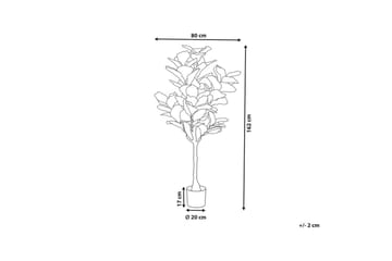 Konstgjord växt Fig Tree - Inredning & dekor - Dekor & inredningsdetaljer - Konstgjorda växter