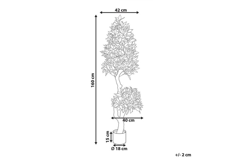 Konstgjord växt Laurele - Inredning & dekor - Dekor & inredningsdetaljer - Konstgjorda växter