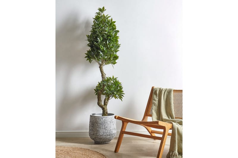 Konstgjord växt Laurele - Inredning & dekor - Dekor & inredningsdetaljer - Konstgjorda växter