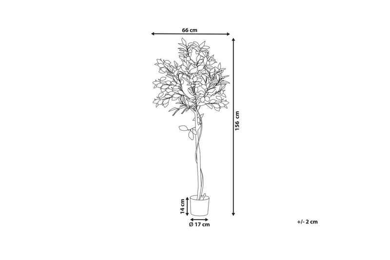 Konstgjord växt Lemon Tree 66x66x156 cm - 66x66x156 cm - Inredning & dekor - Dekor & inredningsdetaljer - Konstgjorda växter