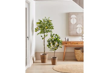 Konstgjord växt Lemon Tree 66x66x156 cm - 66x66x156 cm - Inredning & dekor - Dekor & inredningsdetaljer - Konstgjorda växter