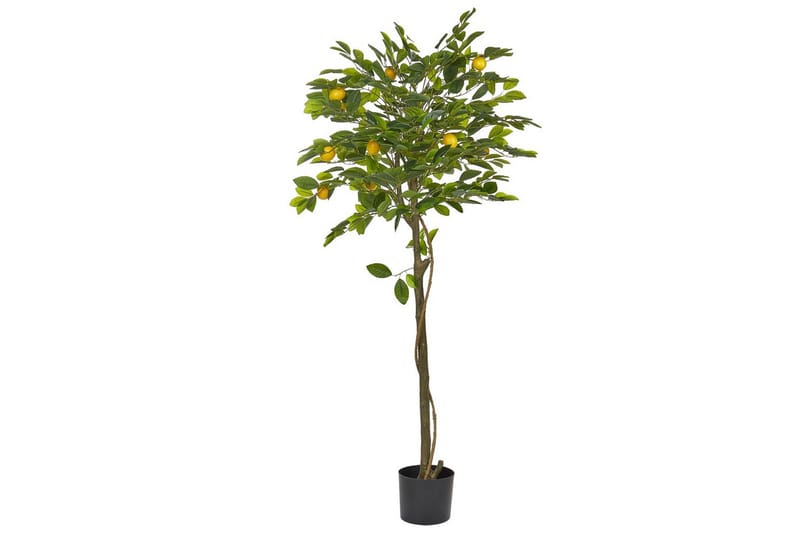 Konstgjord växt Lemon Tree 66x66x156 cm, 66x66x156 cm