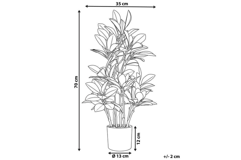Konstgjord växt Magnolia - Inredning & dekor - Dekor & inredningsdetaljer - Konstgjorda växter