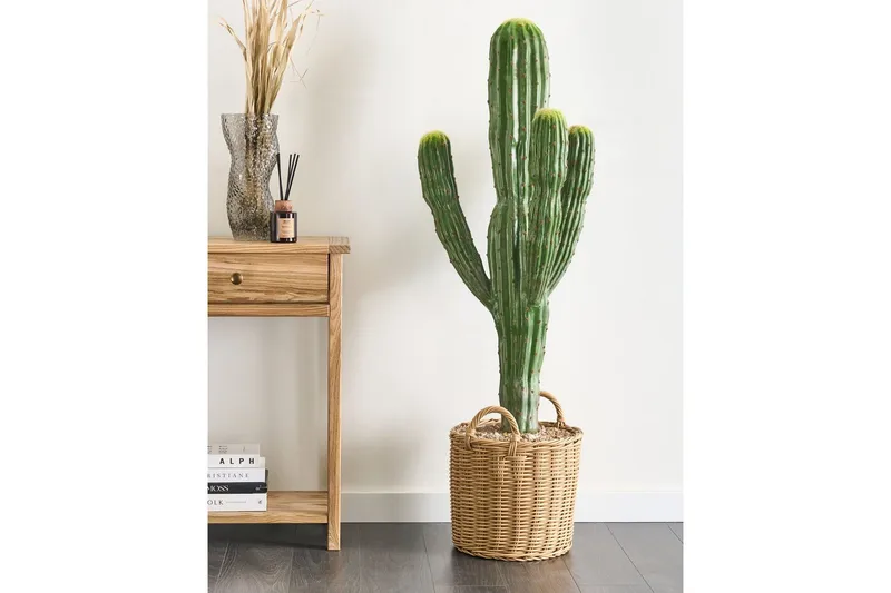 Konstgjord växt Marocco Cereus - Inredning & dekor - Dekor & inredningsdetaljer - Konstgjorda växter