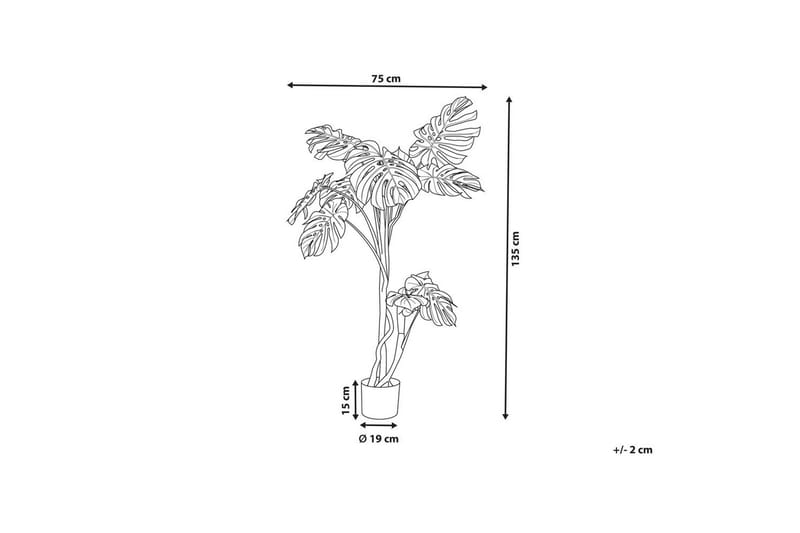 Konstgjord växt Monstera Plant 75x75x135 cm - 75x75x135 cm - Inredning & dekor - Dekor & inredningsdetaljer - Konstgjorda växter