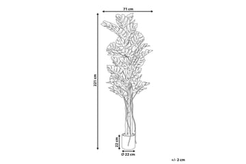 Konstgjord v äxt Monstera Plant 71x71x221 cm - 71x71x221 cm - Inredning & dekor - Dekor & inredningsdetaljer - Konstgjorda växter
