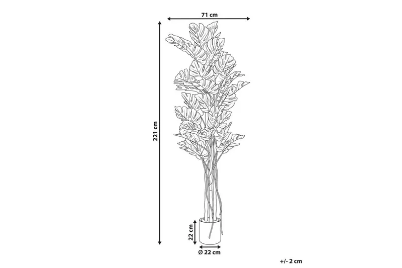 Konstgjord växt Monstera Plant 71x71x221 cm - 71x71x221 cm - Inredning & dekor - Dekor & inredningsdetaljer - Konstgjorda växter