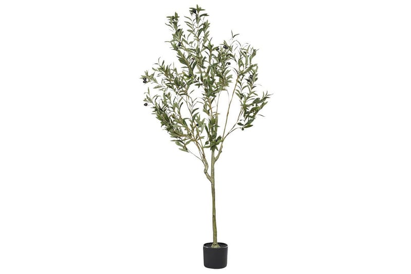 Konstgjord växt Olive Tree 63x63x153 cm, 63x63x153 cm