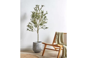 Konstgjord växt Olive Tree 63x63x153 cm - 63x63x153 cm - Inredning & dekor - Dekor & inredningsdetaljer - Konstgjorda växter