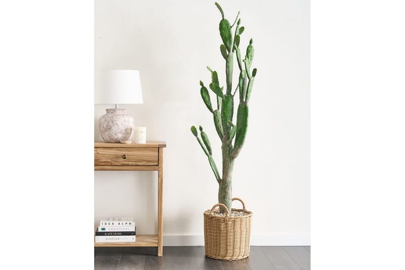 Konstgjord växt Opuntia Cactus - Inredning & dekor - Dekor & inredningsdetaljer - Konstgjorda växter