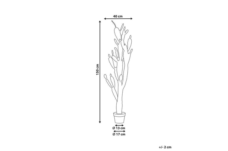 Konstgjord växt Opuntia Cactus - Inredning & dekor - Dekor & inredningsdetaljer - Konstgjorda växter