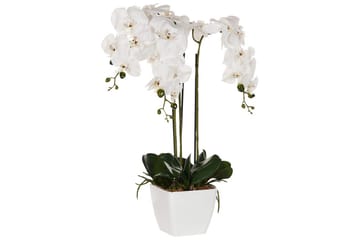 Konstgjord växt Orchid 22x22x59 cm - 22x22x59 cm - Inredning & dekor - Dekor & inredningsdetaljer - Konstgjorda växter