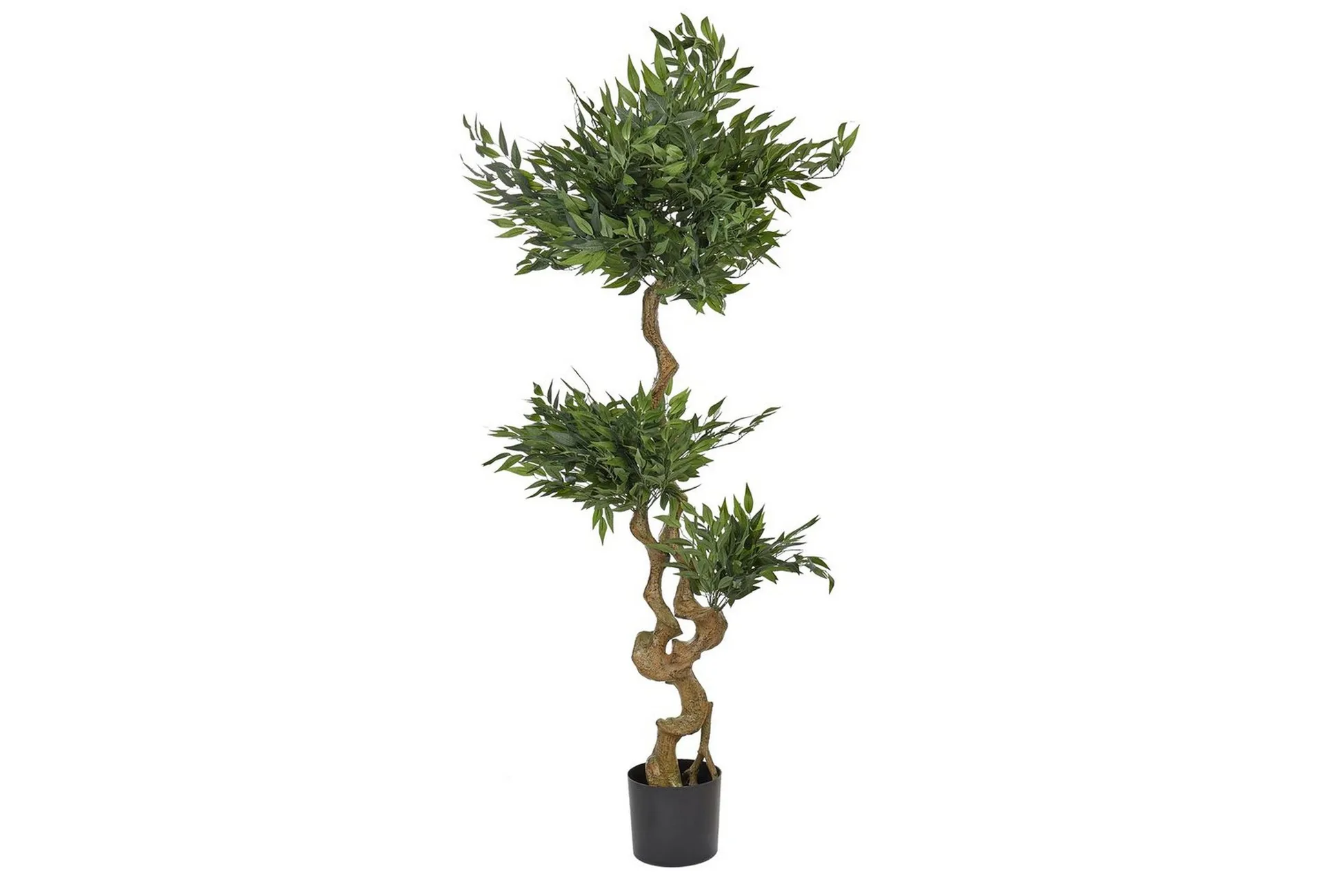 Konstgjord växt Ruscus Tree - Inredning & dekor - Furniturebox