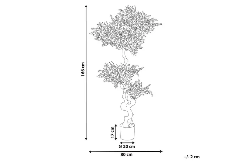 Konstgjord växt Ruscus Tree - Inredning & dekor - Dekor & inredningsdetaljer - Konstgjorda växter
