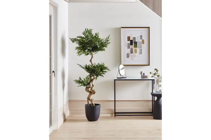 Konstgjord växt Ruscus Tree - Inredning & dekor - Dekor & inredningsdetaljer - Konstgjorda växter