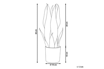 Konstgjord växt Snake Plant 10x10x40 cm - 10x10x40 cm - Inredning & dekor - Dekor & inredningsdetaljer - Konstgjorda växter