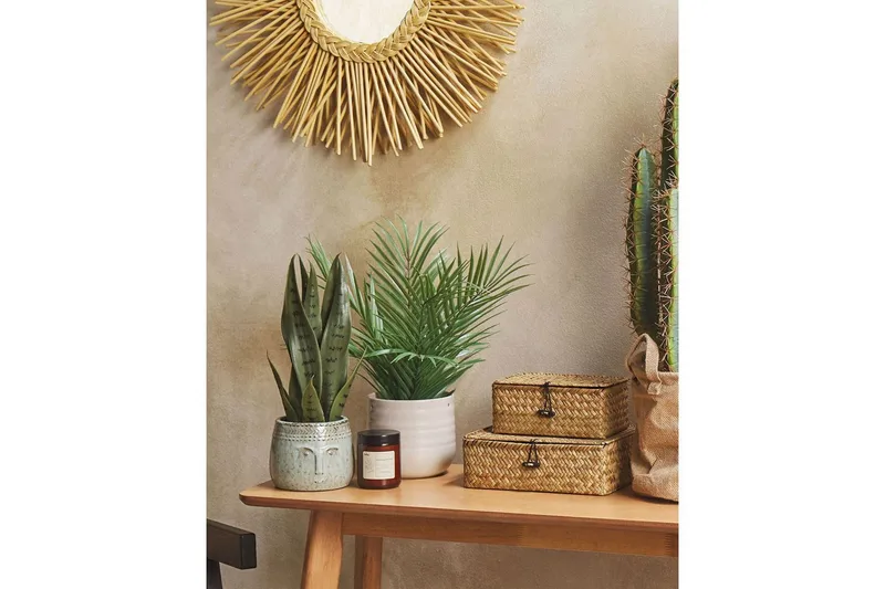 Konstgjord växt Snake Plant 10x10x40 cm - 10x10x40 cm - Inredning & dekor - Dekor & inredningsdetaljer - Konstgjorda växter