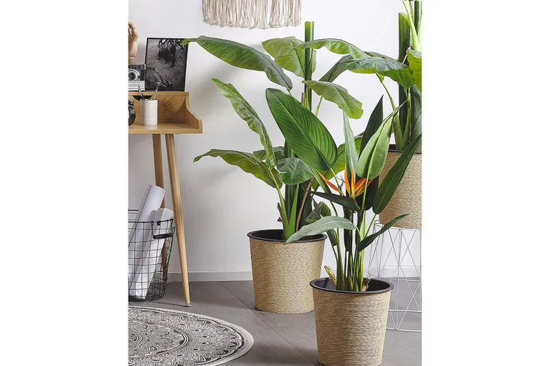 Konstgjord växt Strelitzia Tree - Inredning & dekor - Dekor & inredningsdetaljer - Konstgjorda växter