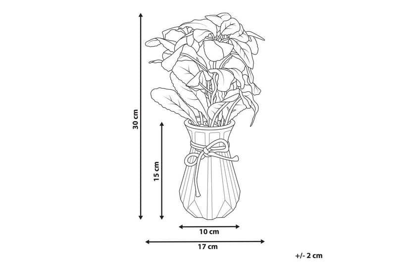 Konstgjord växt Peperomia Argyreia - Inredning & dekor - Dekor & inredningsdetaljer - Konstgjorda växter