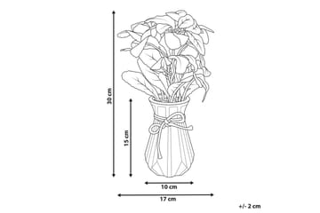 Konstgjord växt Peperomia Argyreia - Inredning & dekor - Dekor & inredningsdetaljer - Konstgjorda växter